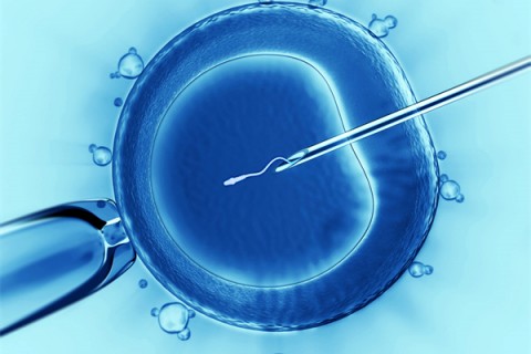 http://wuhan.vdtfzz.com/post/198.html|武汉代生助孕