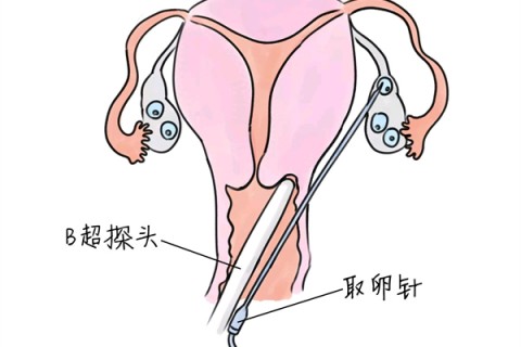 http://wuhan.vdtfzz.com/post/205.html|武汉供卵助孕