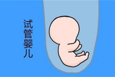 http://wuhan.vdtfzz.com/post/194.html|武汉新闻中心