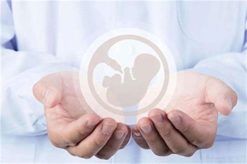 http://wuhan.vdtfzz.com/post/214.html|武汉人工试管